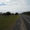 20131227_0843_DSCN2627
