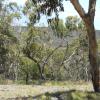 20140105_1300_DSCN2651