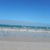20140119_1040_DSCN0456