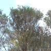 20140121_0918_DSCN2757