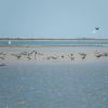 20140124_1403_DSCN0675